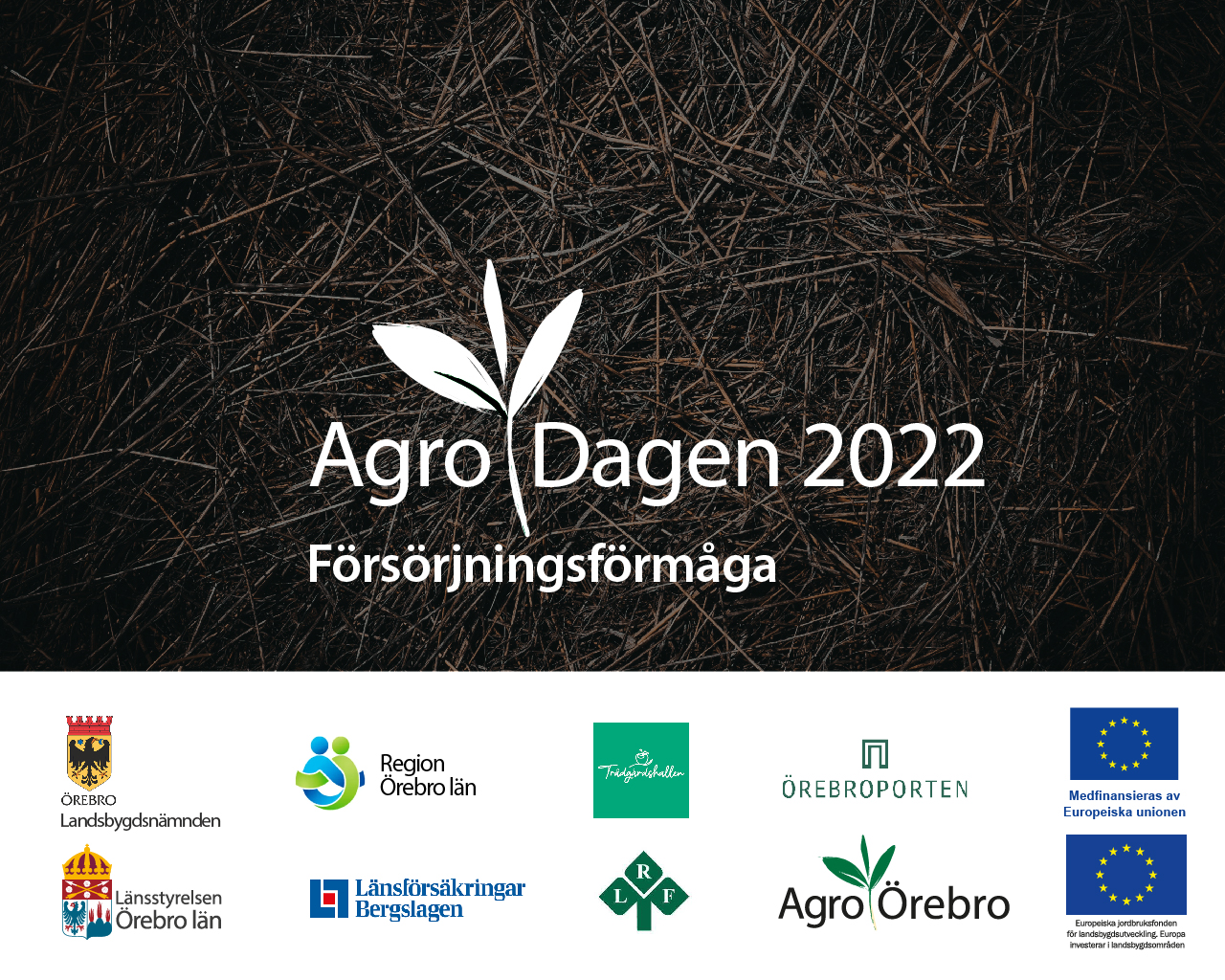 Agro Örebro